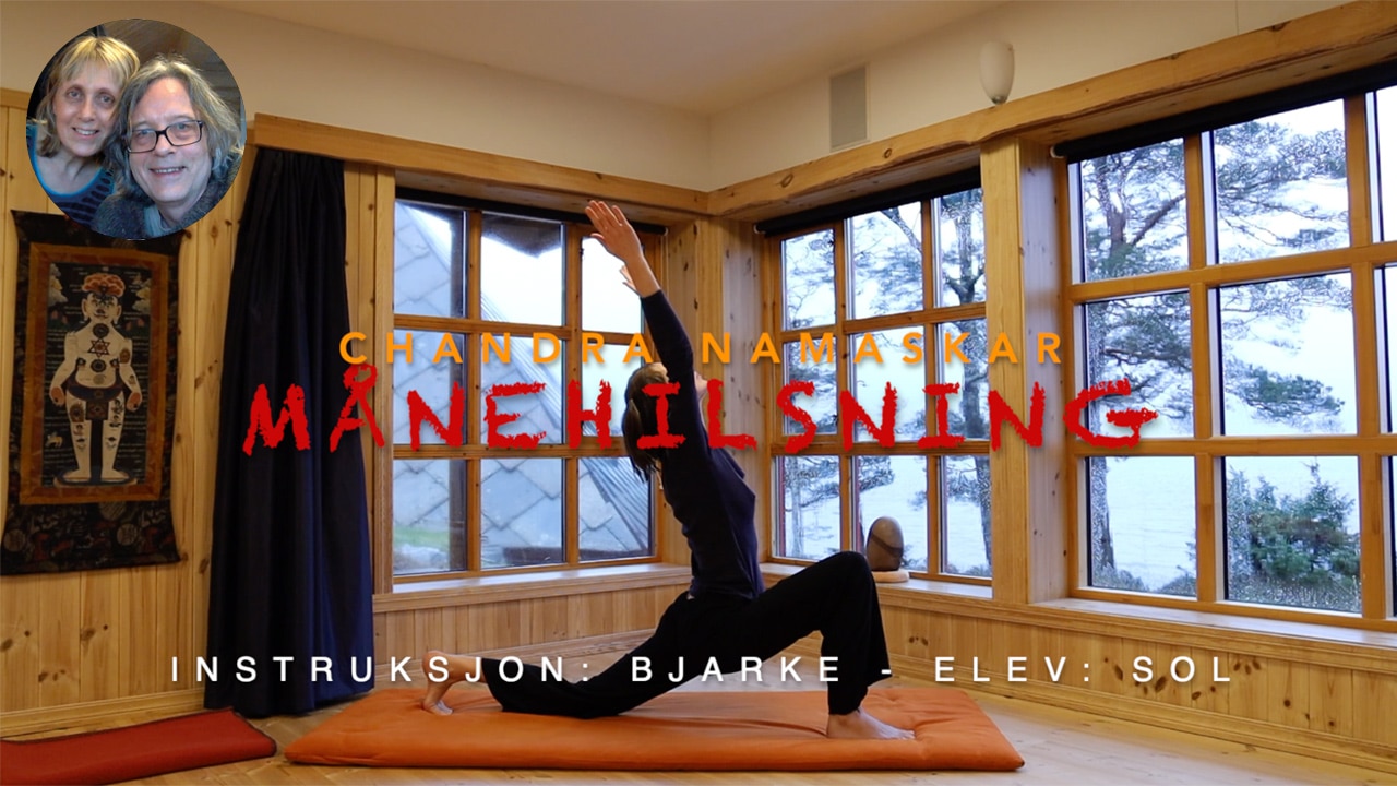 Online video kurs i YOGA FORTSETTERE - Bilde 8