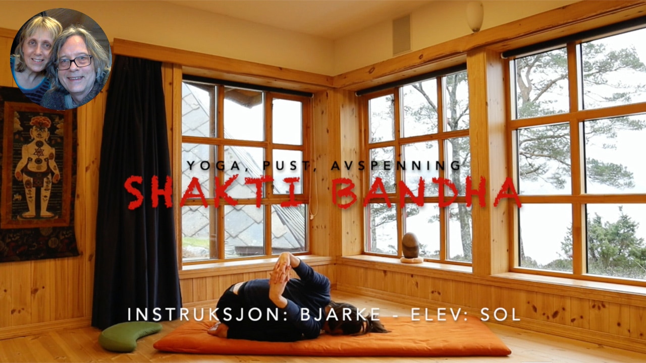 Online video kurs i YOGA FORTSETTERE - Bilde 3