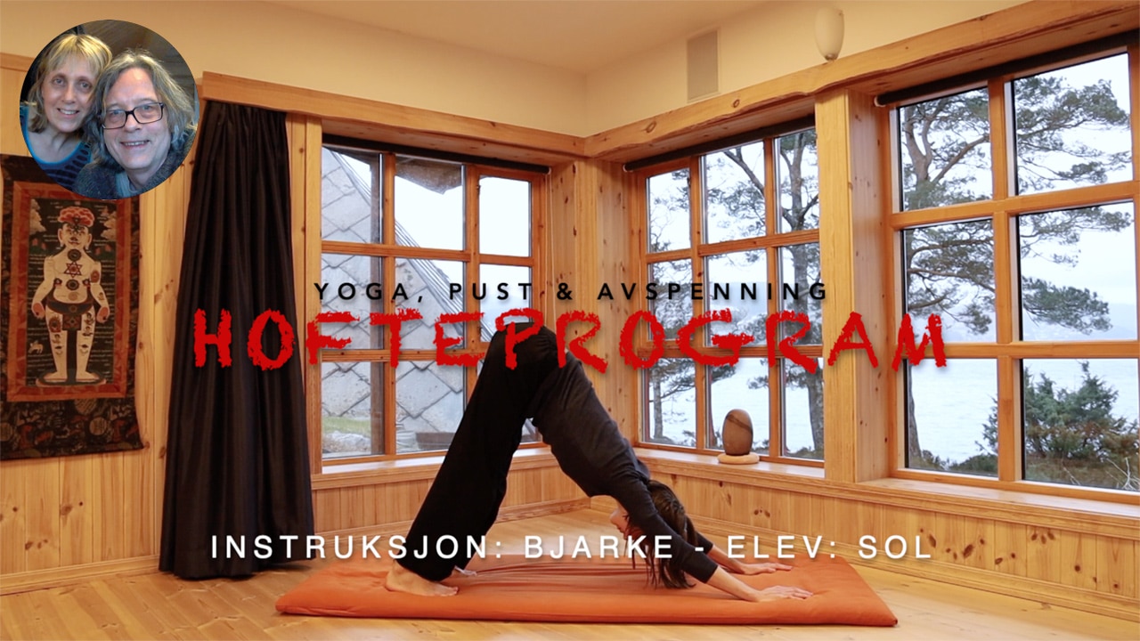 Online video kurs i YOGA FORTSETTERE - Bilde 5