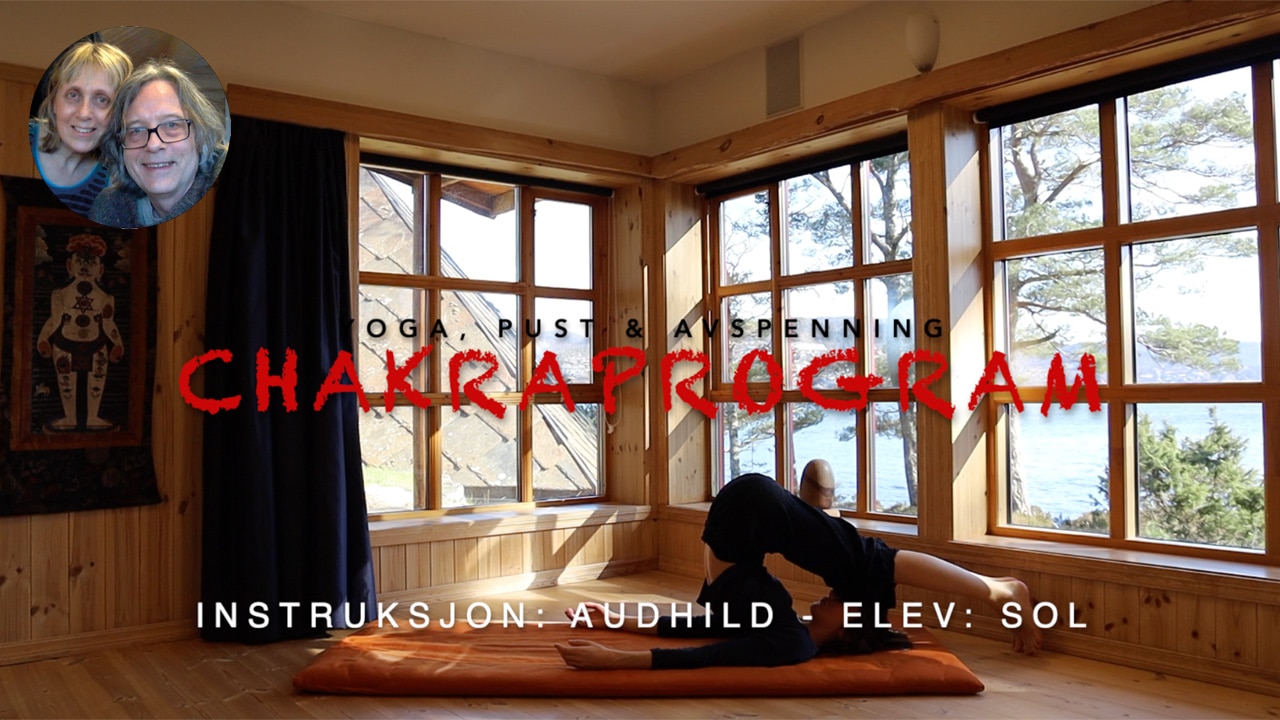 Online video kurs i YOGA FORTSETTERE - Bilde 4