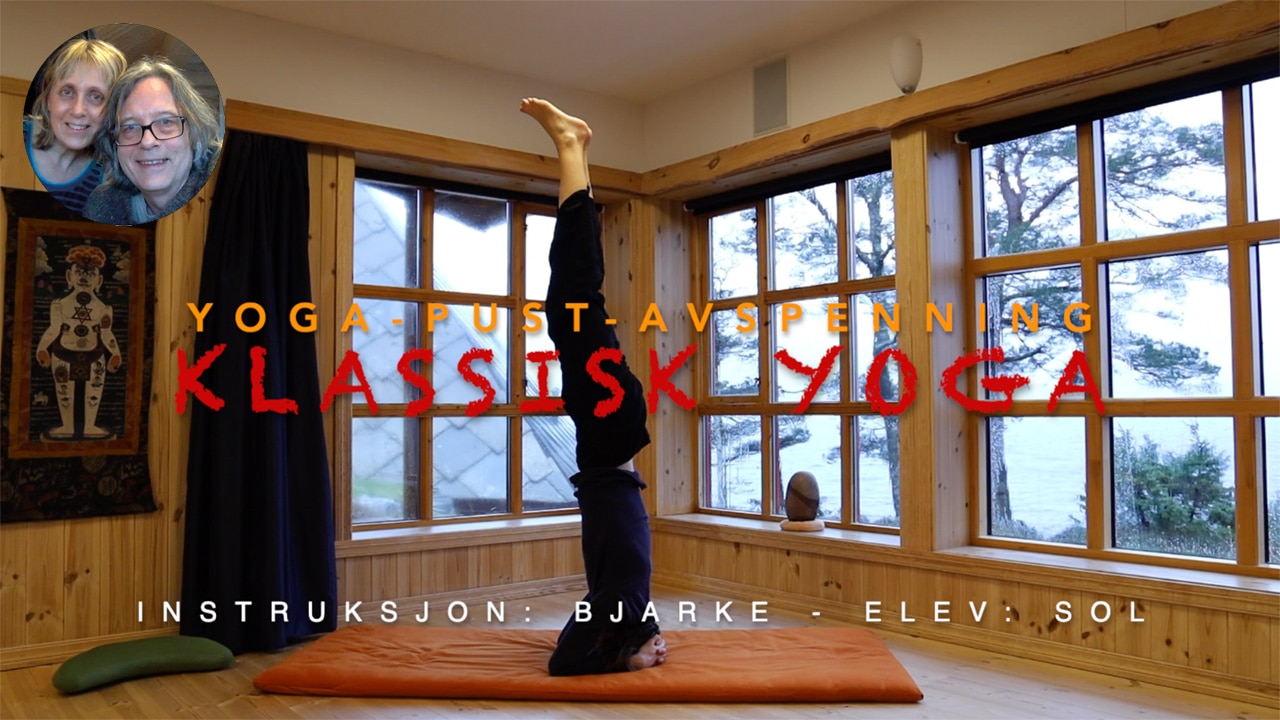 Online video kurs i YOGA FORTSETTERE - Bilde 6