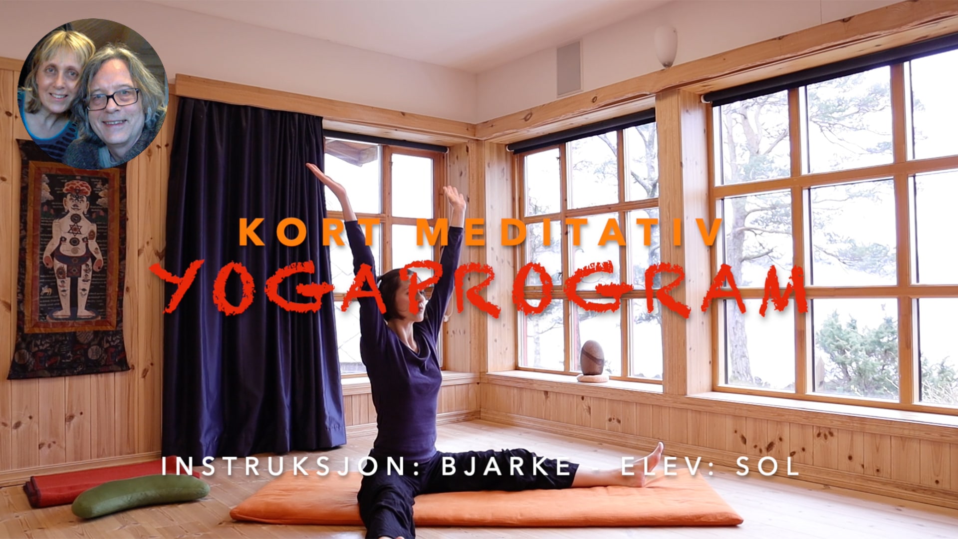 Online video kurs i YOGA FORTSETTERE - Bilde 7