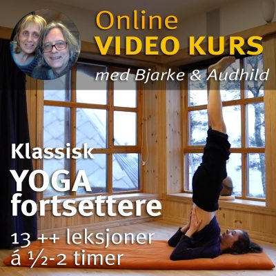 Online video kurs i YOGA FORTSETTERE