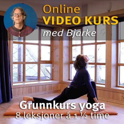 Online videokurs i Klassisk yoga - grunnkurs
