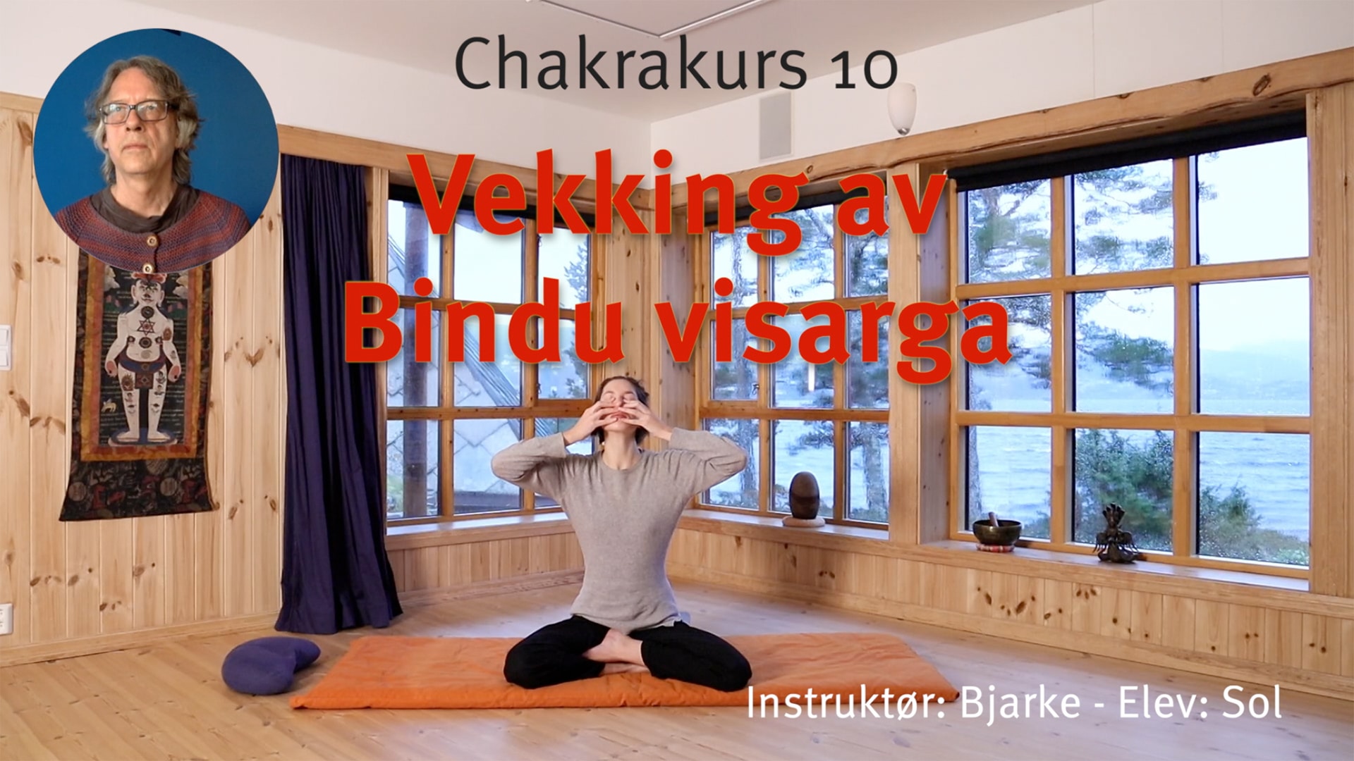 Online videokurs i CHAKRA - esoterisk yoga - Bilde 11