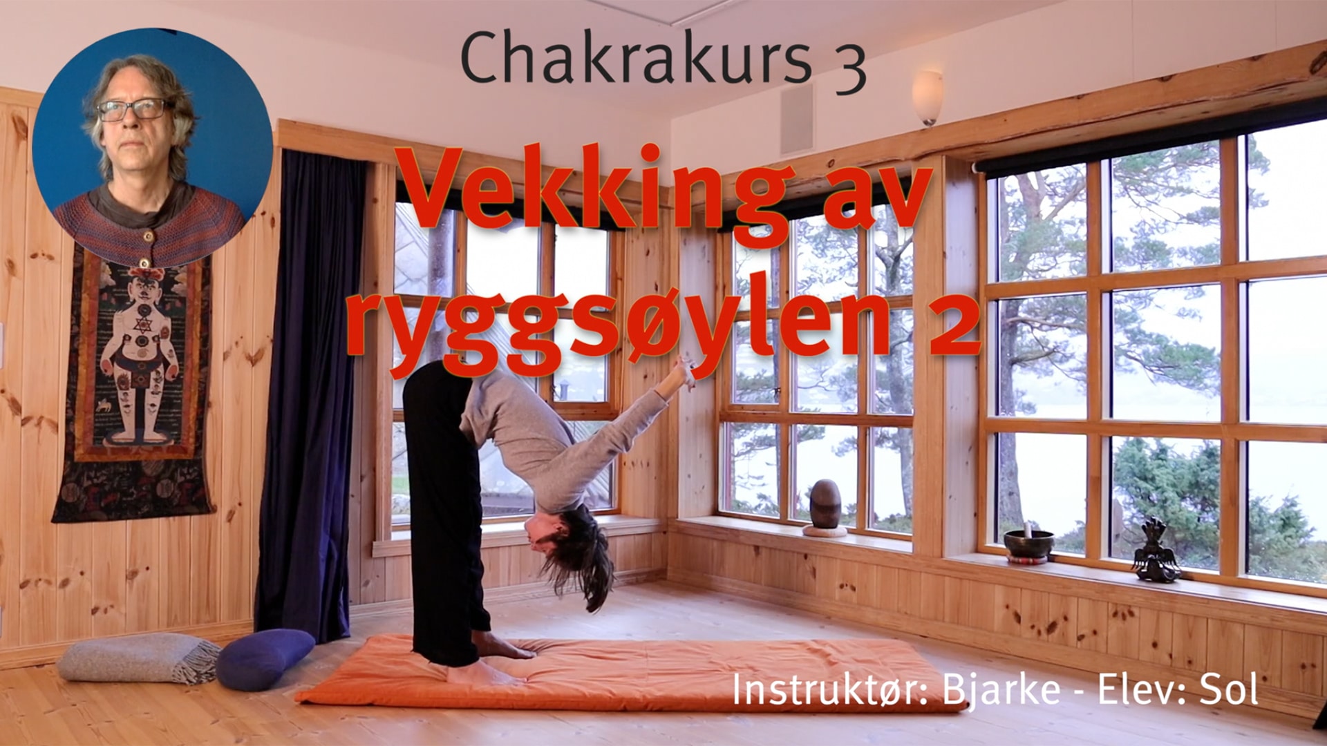 Online videokurs i CHAKRA - esoterisk yoga - Bilde 4