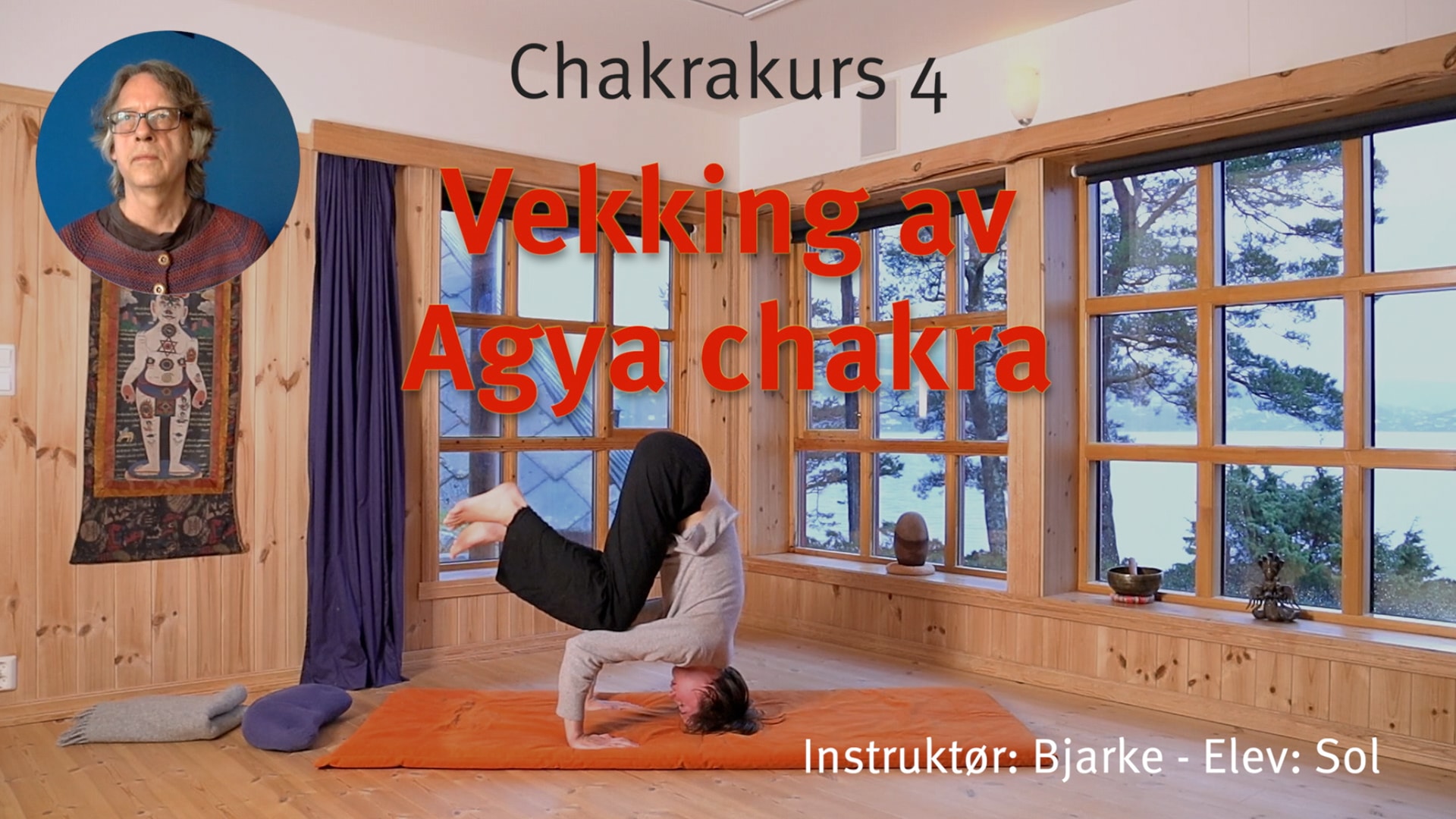 Online videokurs i CHAKRA - esoterisk yoga - Bilde 5