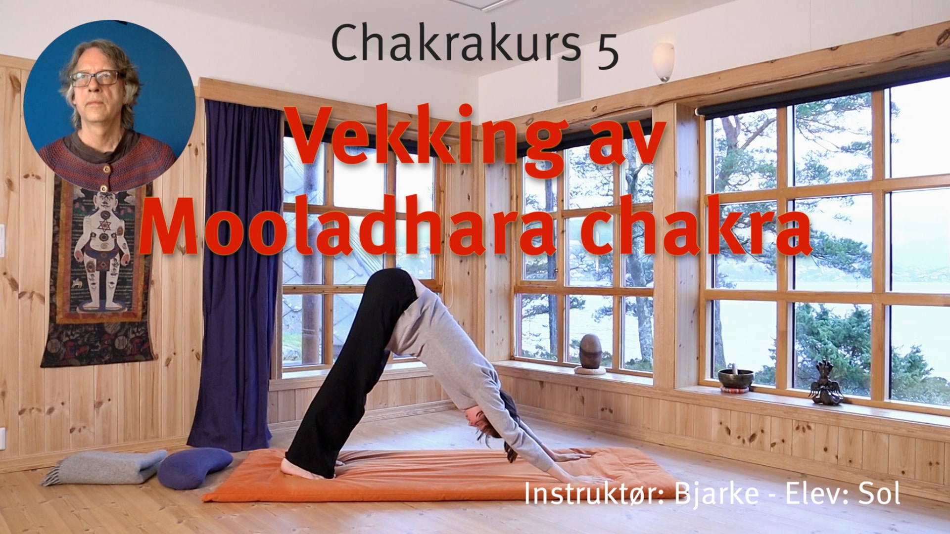 Online videokurs i CHAKRA - esoterisk yoga - Bilde 6